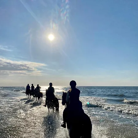 Mila Morska * Kopalino