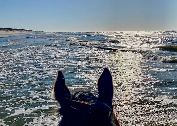 Mila Morska * Kopalino